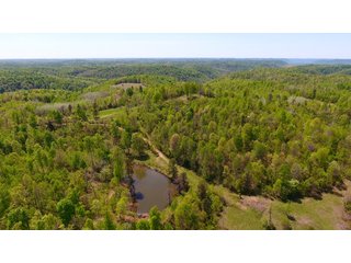 Property photo 1 - LAND AUCTION - 1,682+/- ACRES OFFERED IN 17 TRACTS IN LEWIS & GREENUP COUNTIES, KENTUCKY